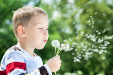 Preventing Weeds in the Garden