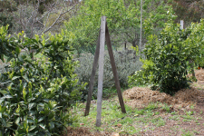 Tripods