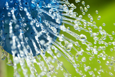 Saving Water in the Garden