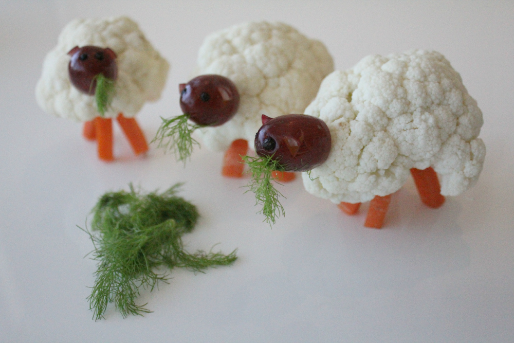Cauliflower sheep_web 2
